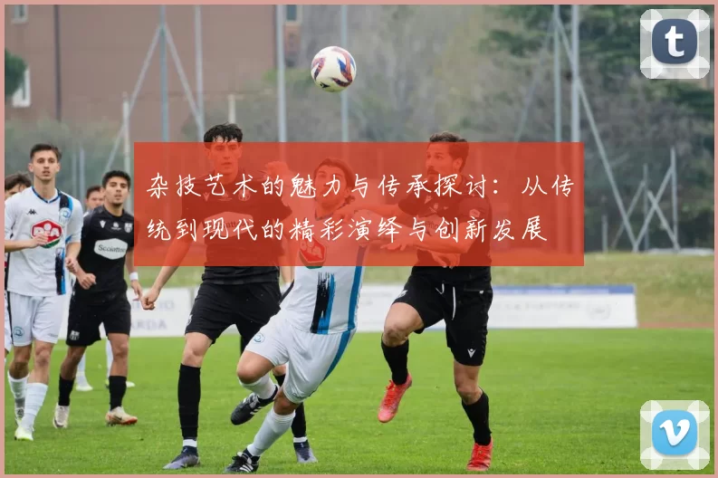 杂技艺术的魅力与传承探讨：从传统到现代的精彩演绎与创新发展