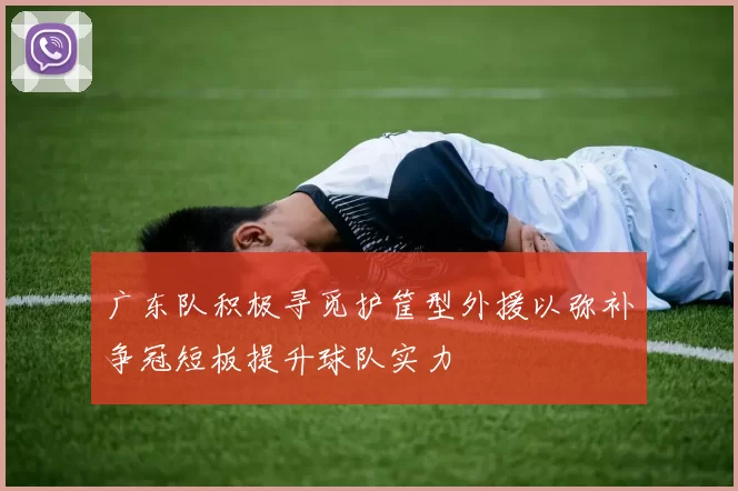 广东队积极寻觅护筐型外援以弥补争冠短板提升球队实力